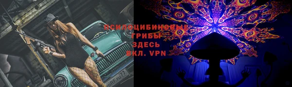 МДПВ Алексеевка