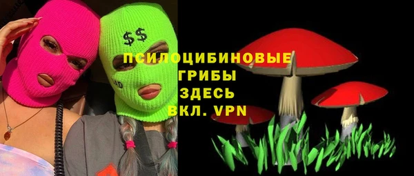 МДПВ Алексеевка