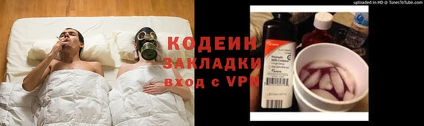 индика Абинск