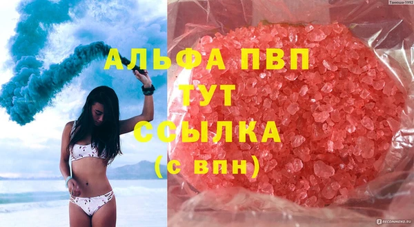 индика Абинск