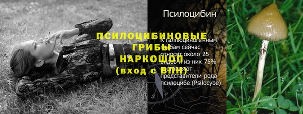 дживик Алзамай