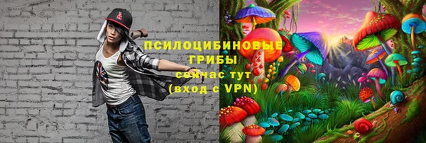 ECSTASY Абаза
