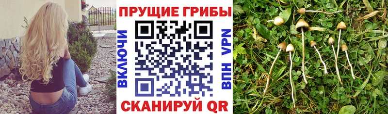 ОМГ ОМГ сайт  нарко площадка Telegram  Галлюциногенные грибы Psilocybine cubensis  Ишимбай 